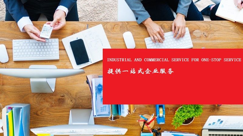 薪酬绩效咨询分类标准：解码企业激励与管理的秘密武器**